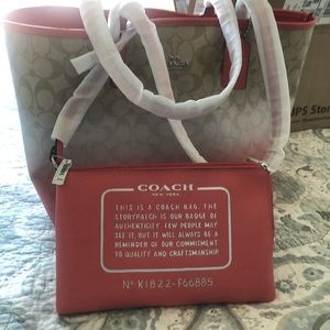 Coach Ombré color